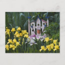 Search for growing postcards Nobody
