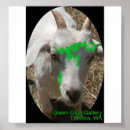 Search for feature posters Green