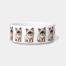 Search for birman cat Birman cats