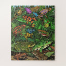 Search for darts puzzles Nature