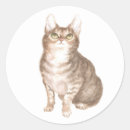 Search for cat rescue stickers Cute