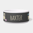 Search for pug pet supplies Cute