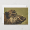 Search for boars cards Wild boar