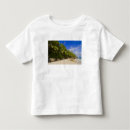 Search for fregate Fregate island