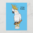 Search for crested postcards Bird