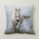 Search for galloping mare Nature