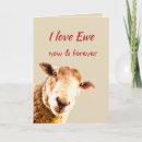 Search for funny animals note cards Sheep
