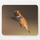 Search for hummingbird mouse mats Wildlife