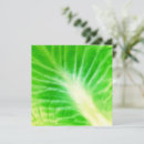 Search for funny vegetable cards Green