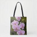 Search for phalaenopsis bags Flowers