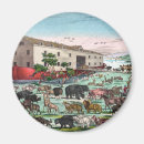 Search for noah magnets Ark
