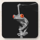 Search for tree frog barware Toad