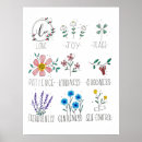 Search for flower illustration posters Flowers