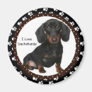 Search for weiner magnets Pets