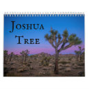 Search for mojave photography Joshua tree
