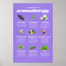 Search for holistic posters Aromatherapy