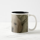 Search for dog nose mugs Close up