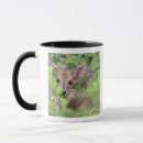 Search for selective focus mugs Close up