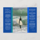 Search for max cards Ehrmann