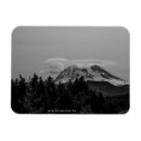 Search for snow white magnets Photograph
