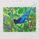 Search for stellar postcards Jay