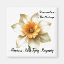 Search for december magnets Narcissus