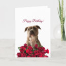 Search for dog rose birthday cards Animal