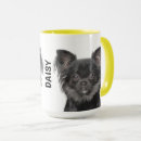 Search for chihuahua pictures mugs Pets