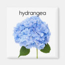 Search for flower kid magnets Plant