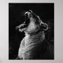 Search for yawning art Photography