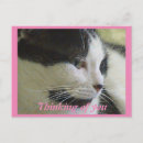 Search for pretty horizontal postcards Girly