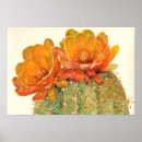 Search for orange blossom posters Floral