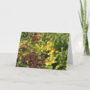 Search for folded thanksgiving cards Fall