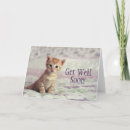 Search for cute cat image cards Baby animals
