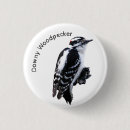 Search for woodpecker badges Bird