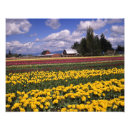 Search for crops art America