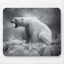 Search for aggressive mouse mats Background