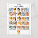 Search for birdwatcher vertical postcards Ornithology