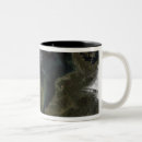 Search for satellite mugs Geography