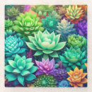 Search for cacti coasters Sage