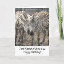 Search for cute zoo animals birthday cards Zebra