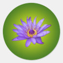 Search for water lily pond stickers Green