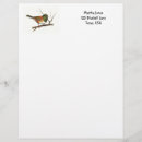 Search for bird letterhead Wildlife