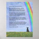 Search for comfortable pet supplies Sympathy