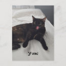 Search for lick postcards Photograph