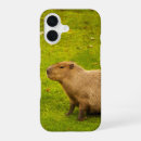 Search for rodent iphone cases Wildlife