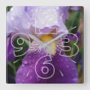 Search for iris clocks Garden