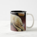 Search for floor mugs Indoors