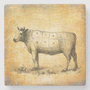 Search for cut sandstone coasters Food