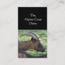 Search for goat farm business cards Dairy